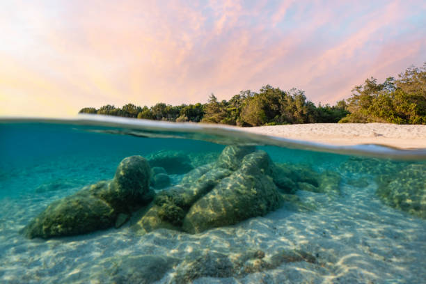 istock (Selective focus) Split-shot, over-under shot. Half underwater half sky with turquoise sea and a white sand beach illuminated at sunset. Liscia Ruja, Sardinia, Italy. 1337918336
