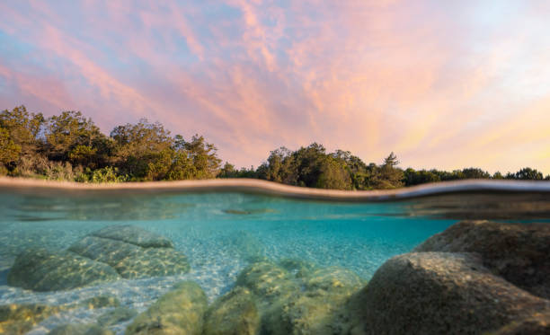istock (Selective focus) Split-shot, over-under shot. Half underwater half sky with turquoise sea and a white sand beach illuminated at sunset. Liscia Ruja, Sardinia, Italy. 1337918490