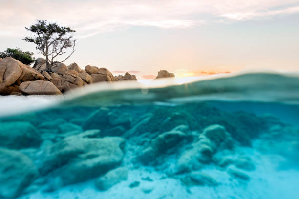 istock (Selective focus) Split-shot, over-under shot. Half underwater half sky with turquoise sea and a rocky coastline illuminated at sunset. Capriccioli beach, Sardinia, Italy. 1337919721