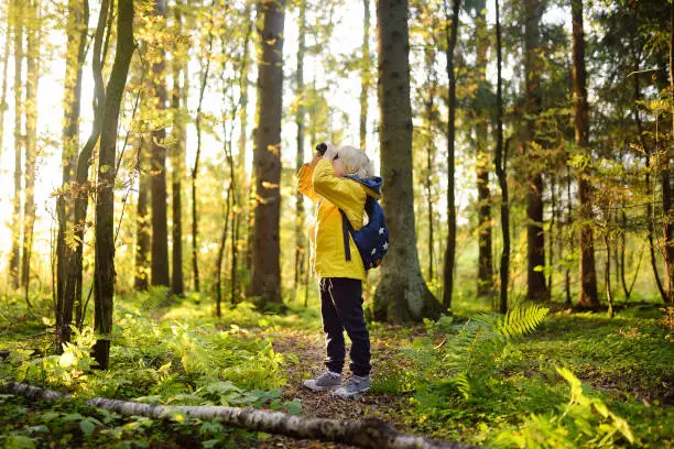 Photo of Little boy scout with binoculars during hiking in autumn forest. Child is looking through a binoculars. Concepts of adventure, scouting and hiking tourism for kids.
