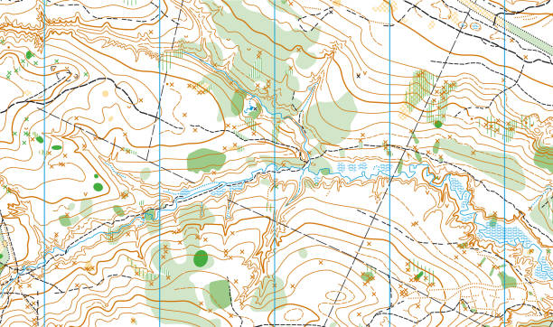detailliertes fragment der farbigen abstrakten vektor topographischen karte - orienteering stock-grafiken, -clipart, -cartoons und -symbole