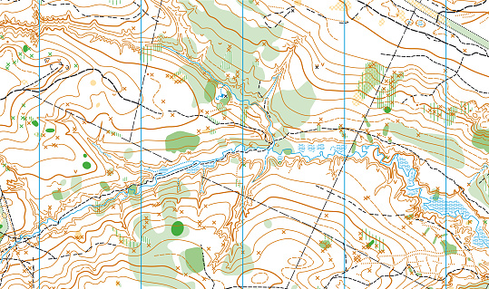 Detailed fragment of abstract vector topographic map