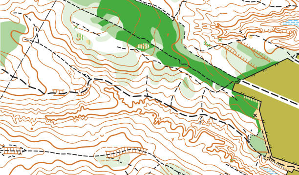 istock Detailed fragment of color abstract vector topographic map 1337922838