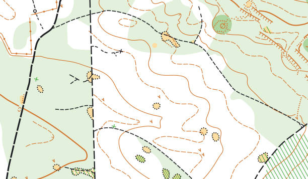 istock Detailed fragment of color abstract vector topographic map 1337922884