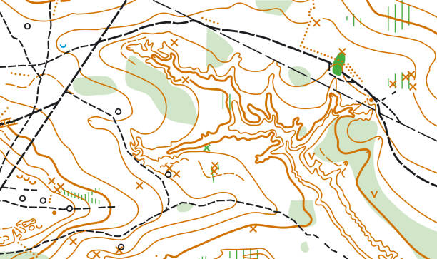 istock Detailed fragment of color abstract vector topographic map 1337924245