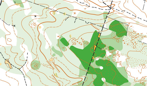 istock Detailed fragment of color abstract vector topographic map 1337924636