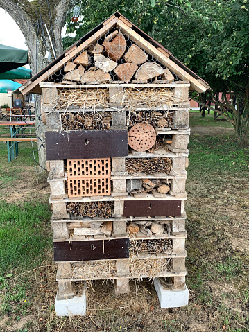 insect hotel or insect house