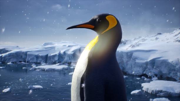 un pingüino emperador se encuentra en medio de una tormenta de nieve en un glaciar y admira el mar. enormes glaciares altos en condiciones naturales invernales. renderizado 3d. - tip of the iceberg fotografías e imágenes de stock