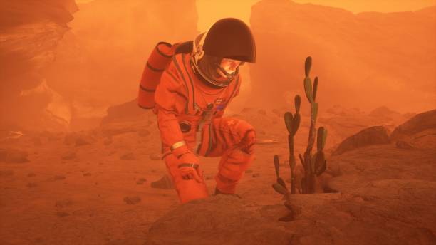 istock An astronaut discovered a plant on a lifeless red planet Mars. The man was created using 3D computer graphics. The image is designed for futuristic or space travel. 3D rendering 1337930519