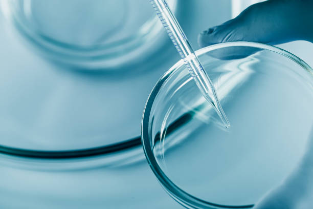 istock abstract laboratory medical background. petri dishes, test tubes 1337931862