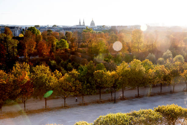 istock Autumn in Tuileries Paris 1337935126