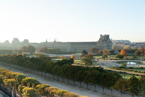 Morning light during autumn season at Tuileries in Paris, France.