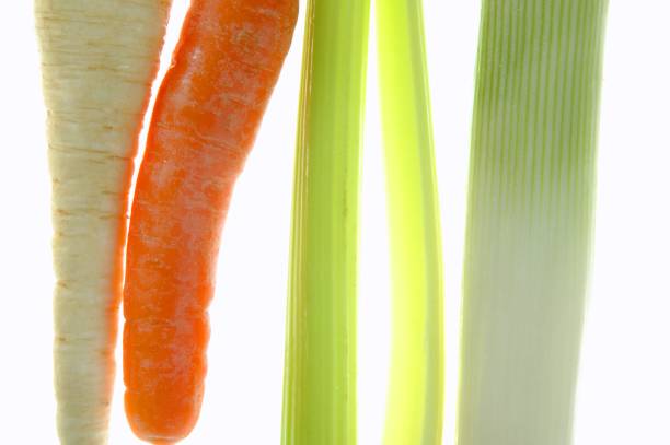 basic vegetables
