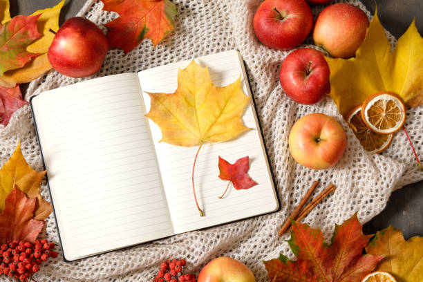 istock Autumn mood flat lay with notebook, fallen leaves, red berries, apples and warm knitted blanket. Autumn holidays, thanksgiving day, home weekend. Flat lay, top view, copy space. 1337956033