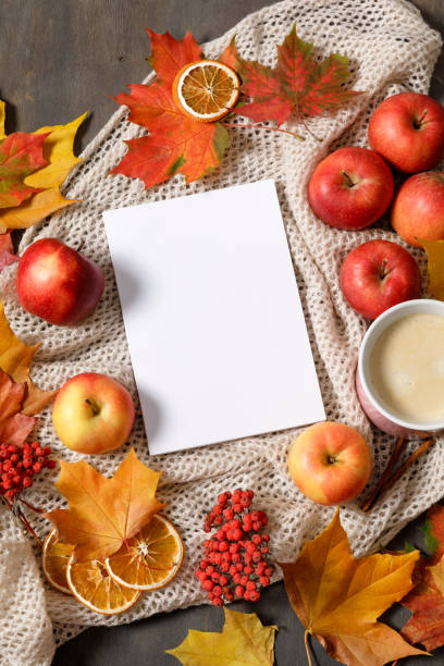 istock Autumn mood flat lay with notebook, fallen leaves, red berries, apples and warm knitted blanket. Autumn holidays, thanksgiving day, home weekend. Flat lay, top view, copy space. 1337956038
