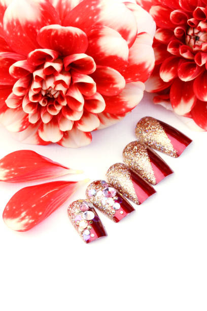 istock Dahlia and cosmetics 1337956248