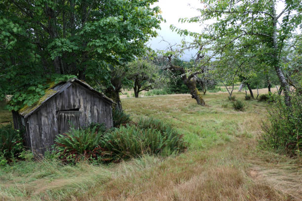 istock Old rustic farm buildings in a field 1337960684