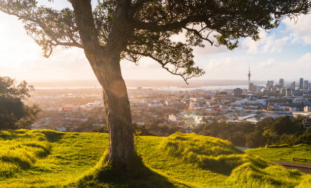 istock Auckland city beautiful view. 1337962764