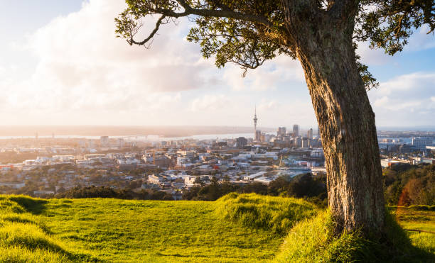istock Auckland city skyline from Mt Eden. 1337962774