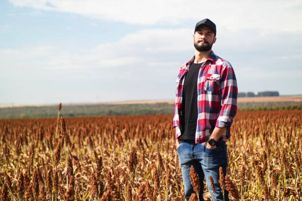 istock Man in a sorghum plantation. Researcher. 1337975146