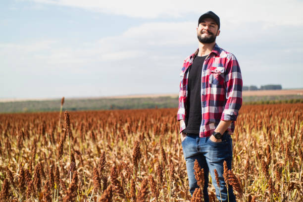 istock Man in a sorghum plantation. Researcher. 1337975245