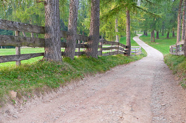 林 road - country road fence road dolomites ストックフォトと画像