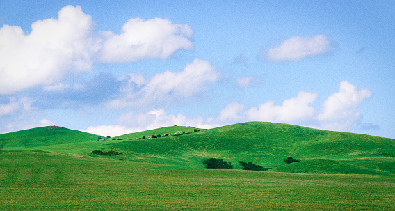 Green grass hill and clear blue sky with white clouds