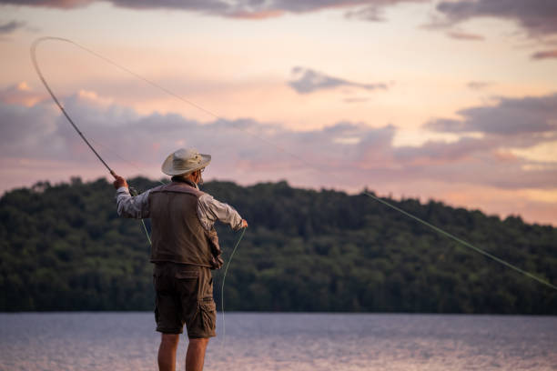 Senior Man Fly-Fishing at Sunset Senior Man Fly-Fishing at Sunset at the lake. He is standing on a pier at Lac St-Joseph, Quebec, Canada. fisher stock pictures, royalty-free photos & images