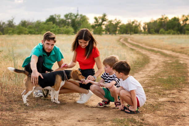 istock Family walk and training dog 1337997260