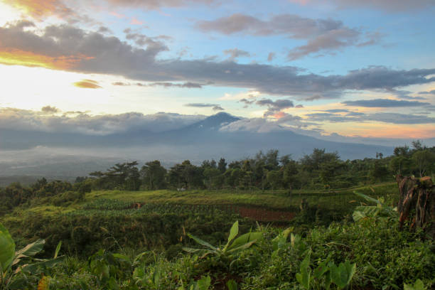 istock View of Mount Gede 1338004432