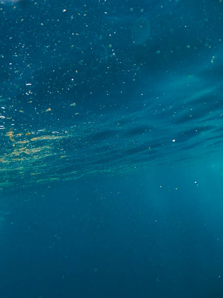 istock Sun light beams shining from above coming through the deep blue water causing a reflections curtain. 1338004437