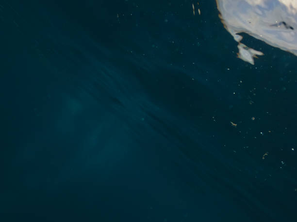 istock Sun light beams shining from above coming through the deep blue water causing a reflections curtain. 1338004439