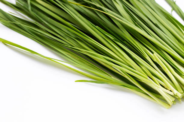 istock Fresh Chinese Chive leaves on white background. 1338005414