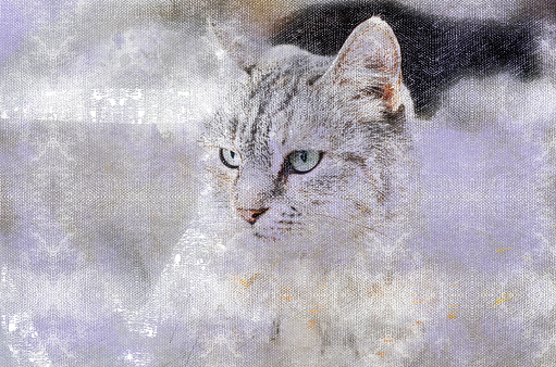 Portrait of a light gray striped cat. British striped cat with blue eyes. Digital watercolor painting