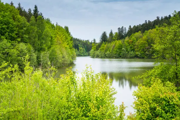 Germany, Idyllic herrenbachstausee lake surrounded by untouched green forest and nature landscape near adelberg and goeppingen