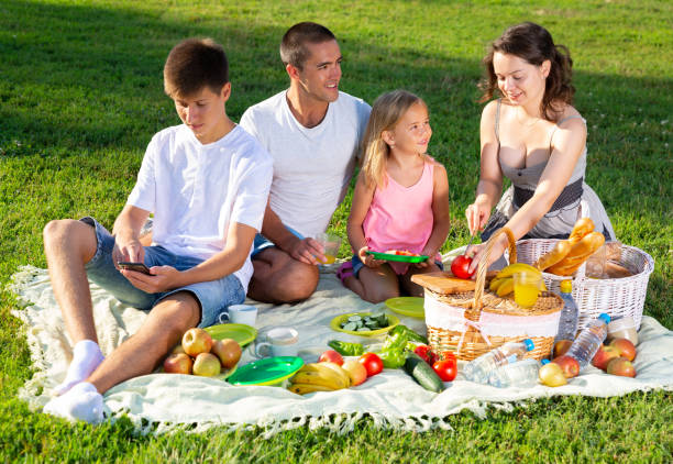 istock Boy playing on smartphone during family picnic 1338011943