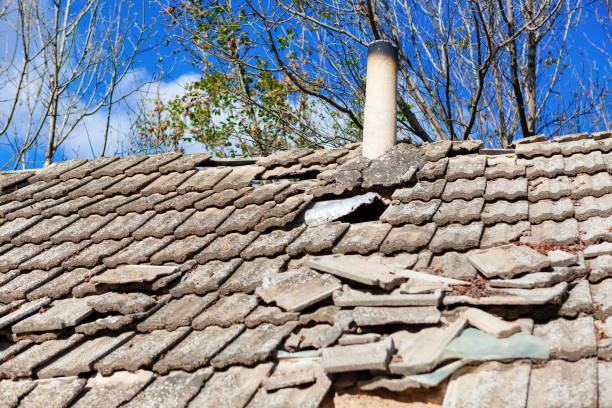 старая черепичная крыша с дымоходом - roof tile nature stack pattern стоковые фото и изображения