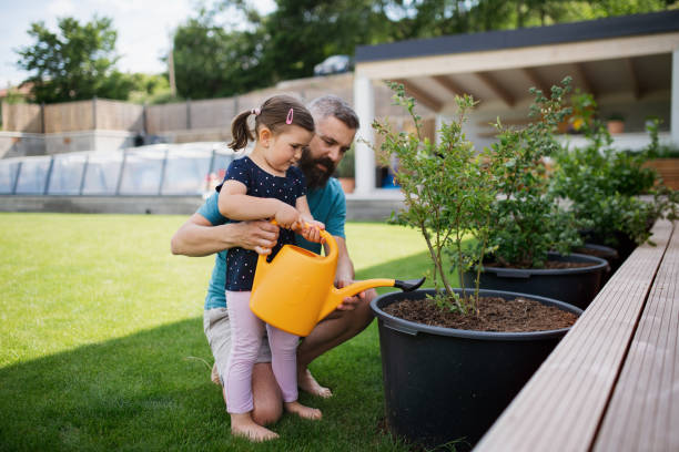 istock Father and small daughter outdoors in tha backyard, watering plants. 1338012946