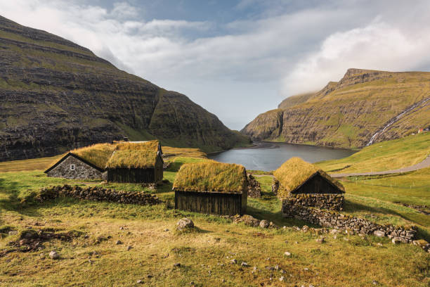 Faroe Islands Grass Covered Stone Houses Streymoy Island Grass Covered Traditional Stone Houses on Faroe Islands. Charming green grass-covered traditional turf barns and stone houses - traditional faroese thatched roof log cabins under sunny summer sky. Saksun Village, Saksun Fjord, Northwest Coast of Streymoy Island, Faroe Islands, Kingdom of Denmark, Nordic Countries, Europe sod roof stock pictures, royalty-free photos & images