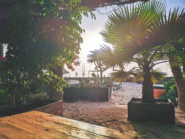Tropical climate in a local bar. Unidentified cozy restaurant with a wooden table and exotic plants. Selective focus on the details, blurred background.