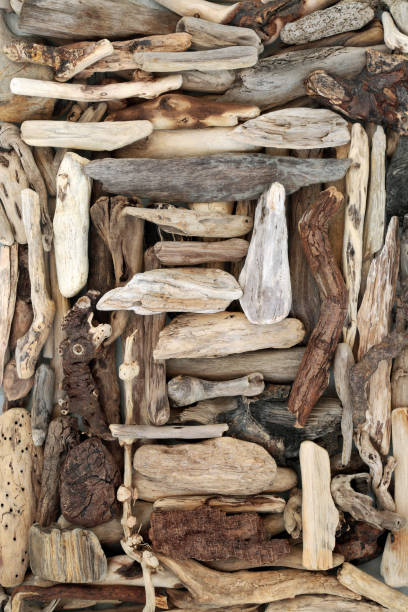 istock Natural Driftwood Abstract Art Design 1338015733
