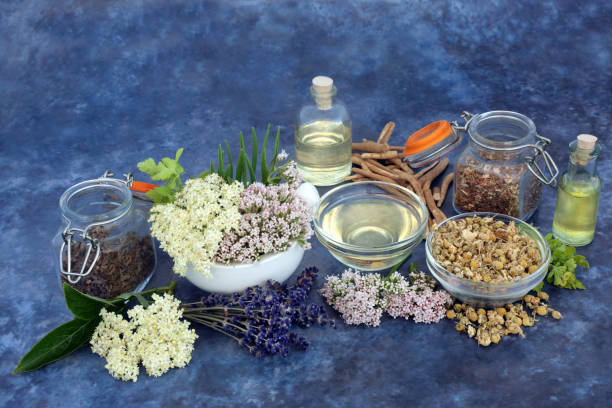 istock Calming Herbs Used in Natural Herbal Medicine 1338015754
