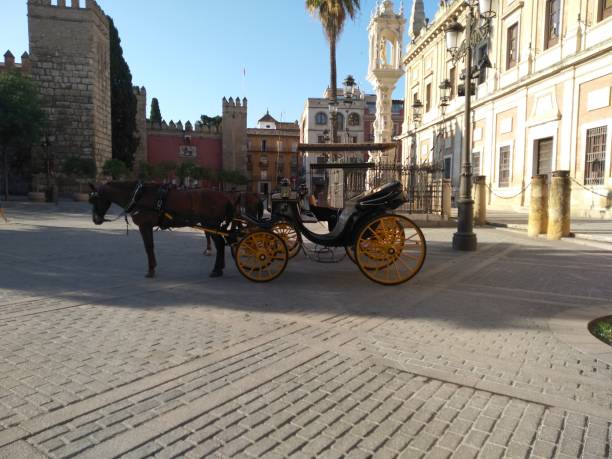istock Horse cart in Sevilla 1338019055