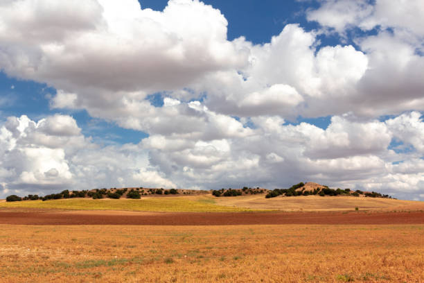 istock Arid landscape with different crops in warm colors. 1338022260