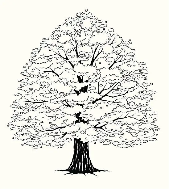 Vector illustration of Tree