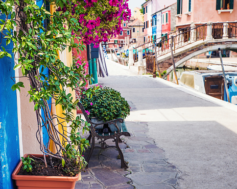 Beautiful Burano glimpse with bench, flowers and typical bridge - Italy