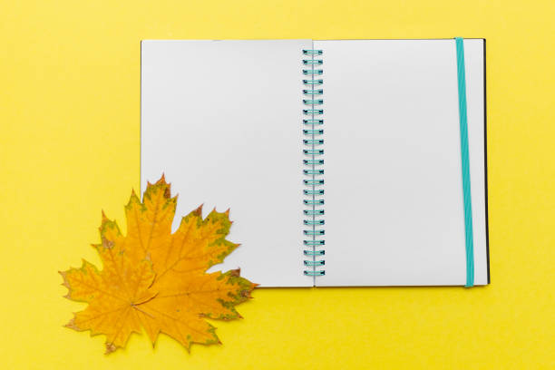 istock Blank open notebook and yellow maple leaves on a yellow background. Autumn symbol. Hello october concept. 1338026489