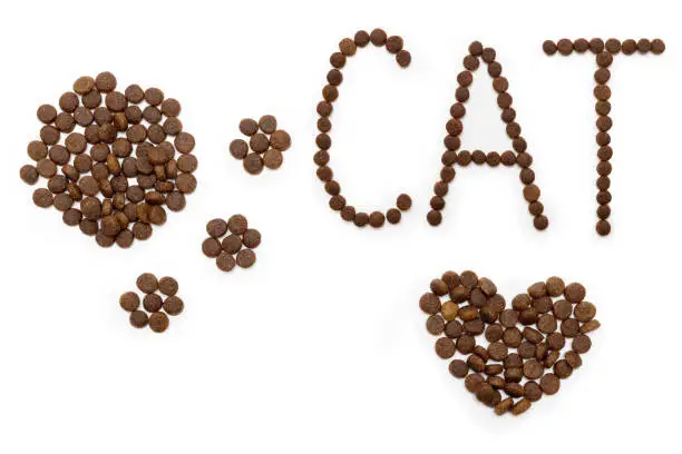 Photo of Dry dog food in the shape of a heart, a cat's paw and letters CAT, isolated on a white background.