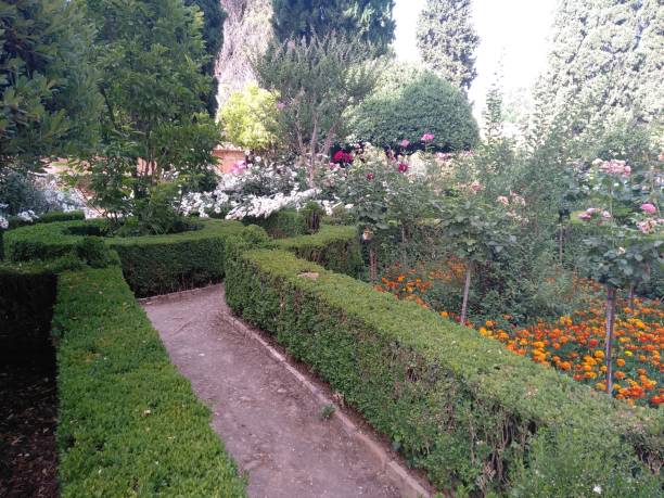 istock Garden with flowers 1338026743