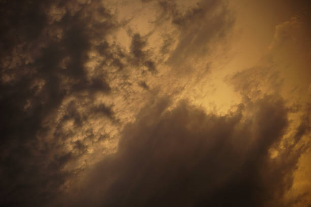 istock Dramatic weather clouds forming over rice fields  and native trees at start of rainy season 1338027490